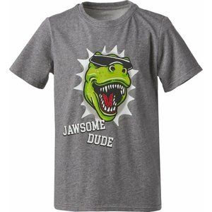 BCG Boys' Jawsome Dude Graphic Short Sleeve T-shirt Heather Grey Large (14-16)